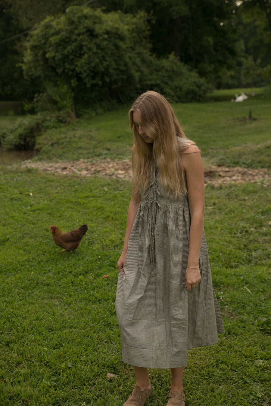 Daisy Dress