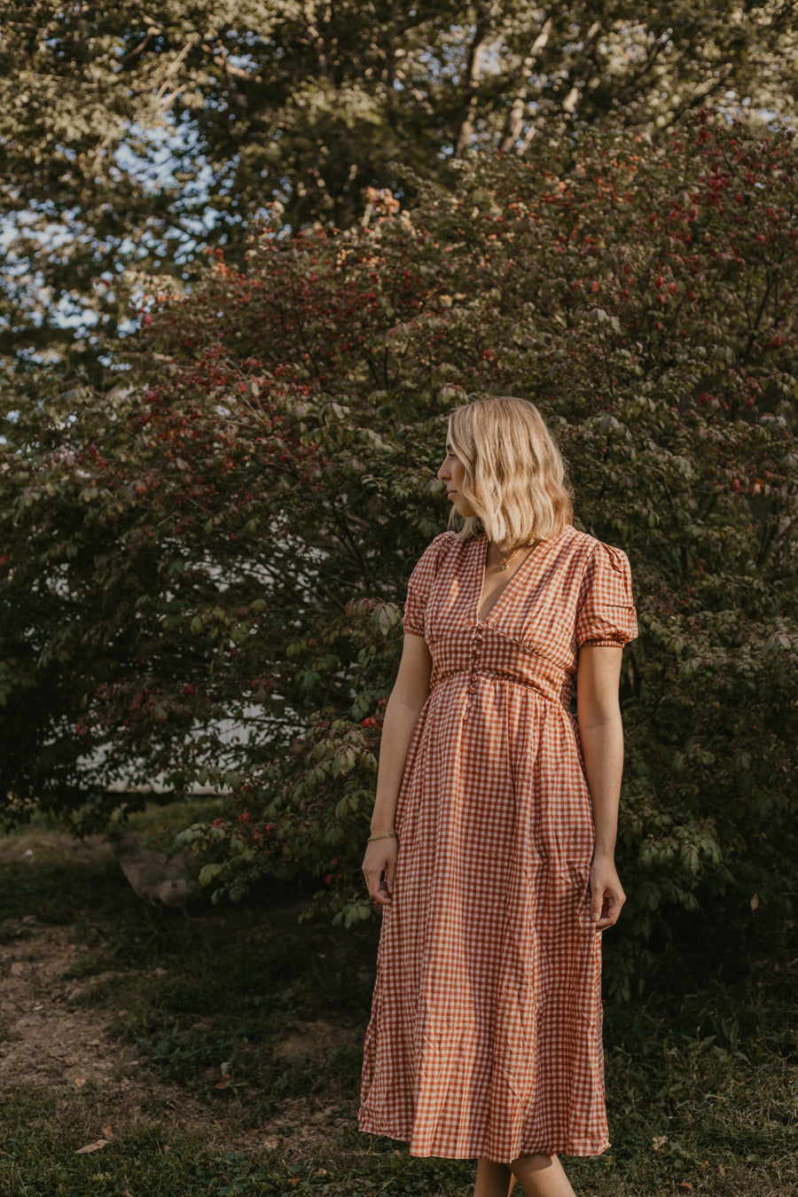 Red Gingham Dress